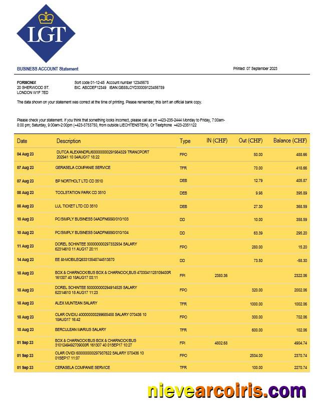 LGT Bank organization checking account statement